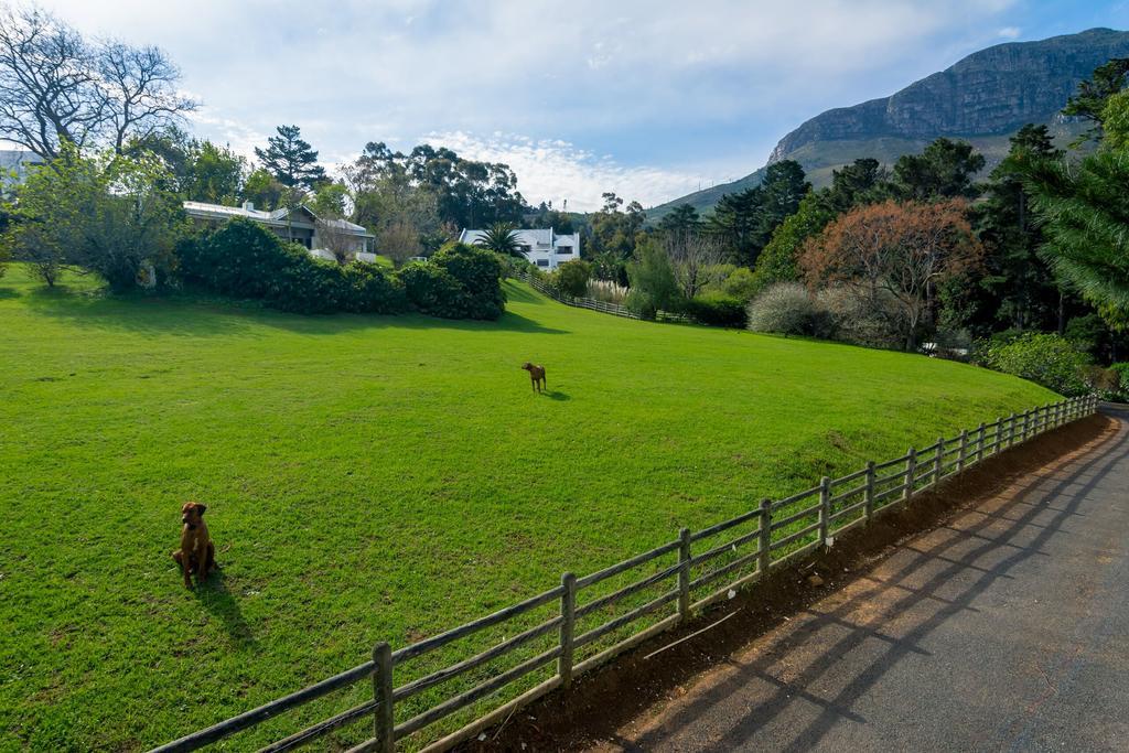 De Molen Guest House Somerset West Extérieur photo